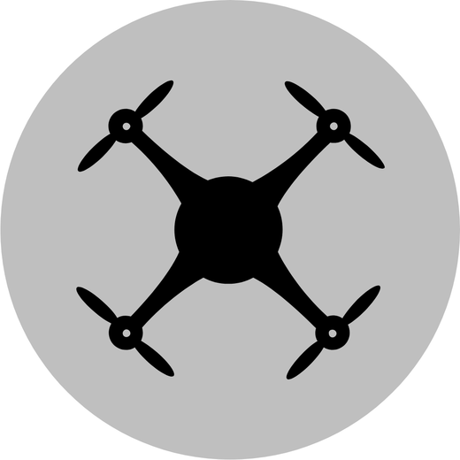 Kopie návrhu Pár Procházející se Po Pláži a Černobílý Filtr Citá